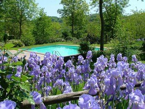 Pool - Komfortable Unterkunft in einem Schloss, Schwimmbad by Interhome (Castel Cellesi)