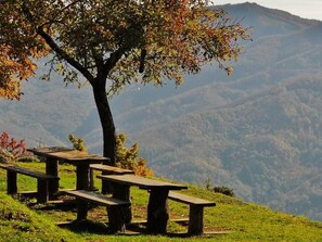 Outdoor dining - Lumache by Interhome (Tavarone)