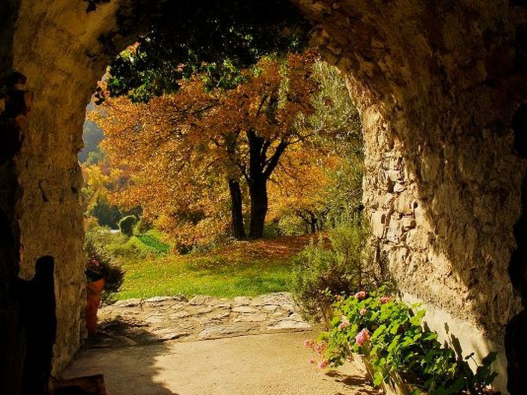 Terrain de l’hébergement 