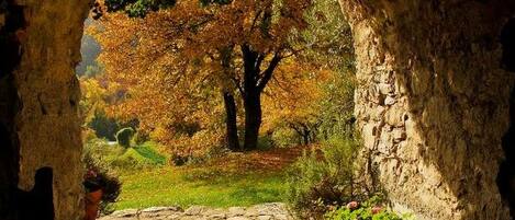 Terrain de lâhĂ©bergement