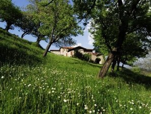 Property grounds - Apartment Sole by Interhome (Tavarone)