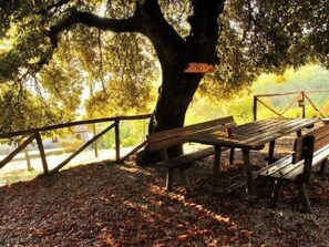 Outdoor dining - Apartment Sole by Interhome (Tavarone)