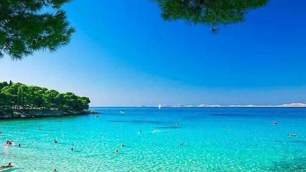 A clear blue sea with people swimming and a small island with trees. - Gemütliche Ferienwohnung Emil by Interhome (Dragišina)