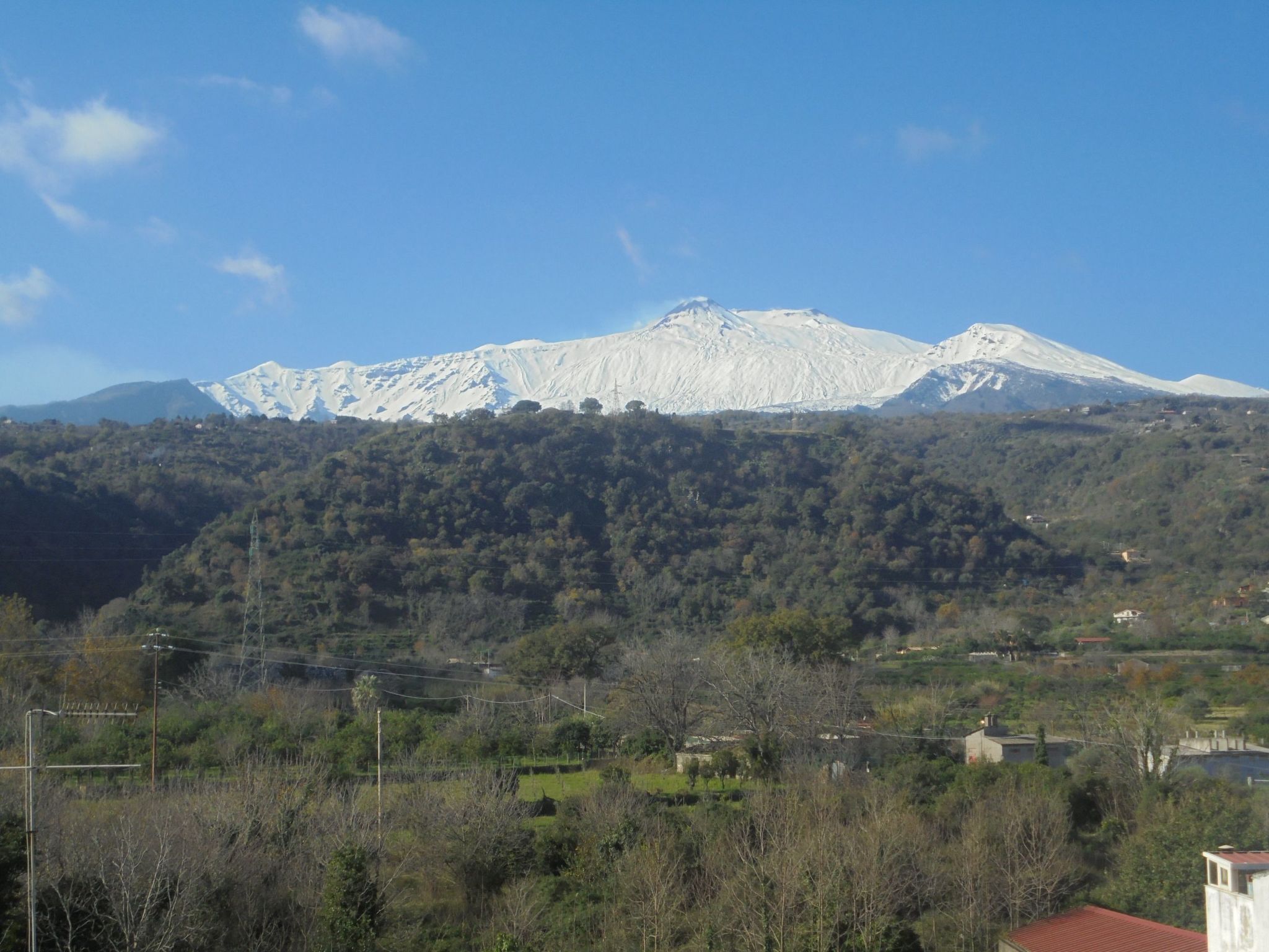 Miscelánea