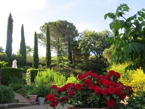 Property grounds - Podere Campolungo - Lo Studio by Interhome (Greve in Chianti)