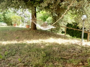 Property grounds - Ortensia by Interhome (Fauglia)