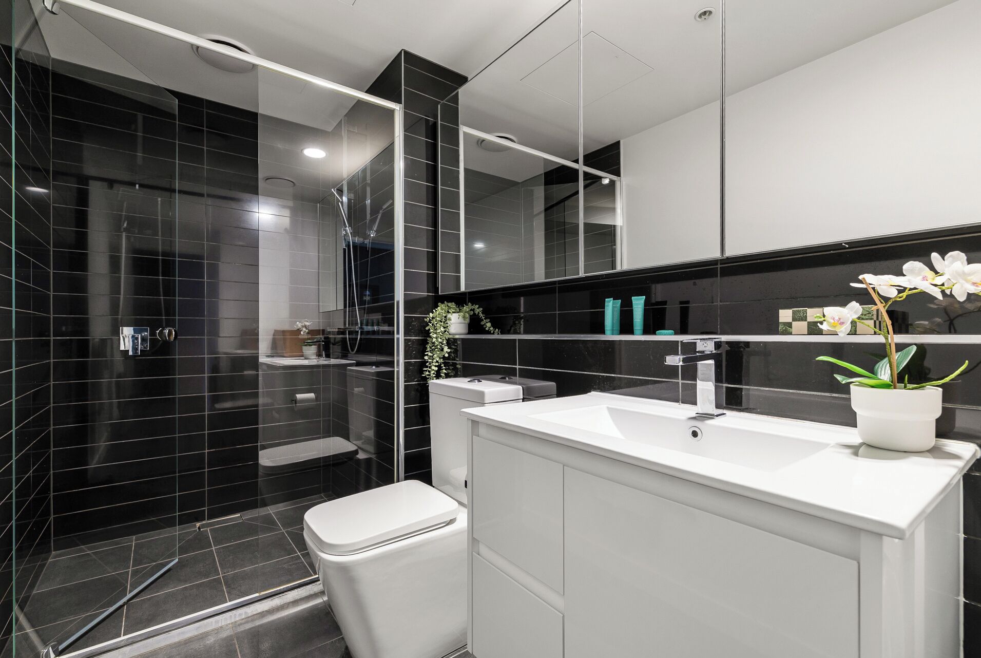 Secadora de cabello, bidet, shampoo 