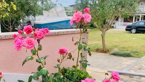 Un giardino con rose rosa in vaso, un muro bianco e un'auto parcheggiata sullo sfondo.