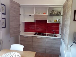 Fridge, microwave, oven, cookware/dishes/utensils