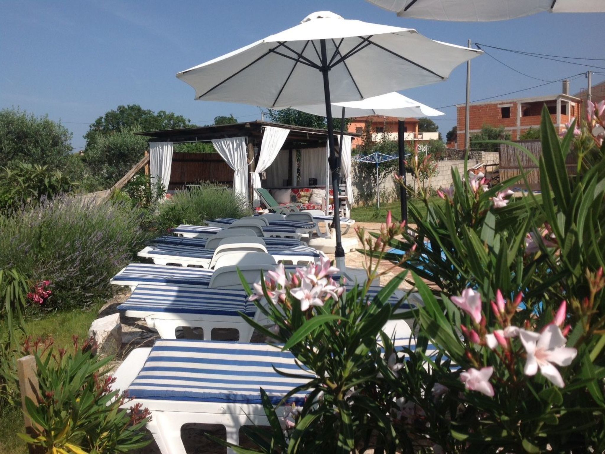 Une rangée de chaises longues avec des coussins à rayures, des parasols blancs et une pergola agrémentée de rideaux blancs.