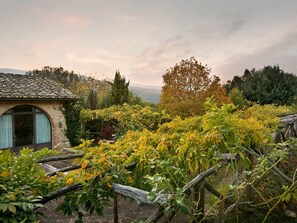 Property grounds - Maskendickkopf-Gimpel by Interhome (Sovicille)