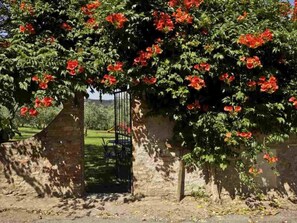 Property grounds - "Ciclamini capponi by Interhome (Montespertoli)