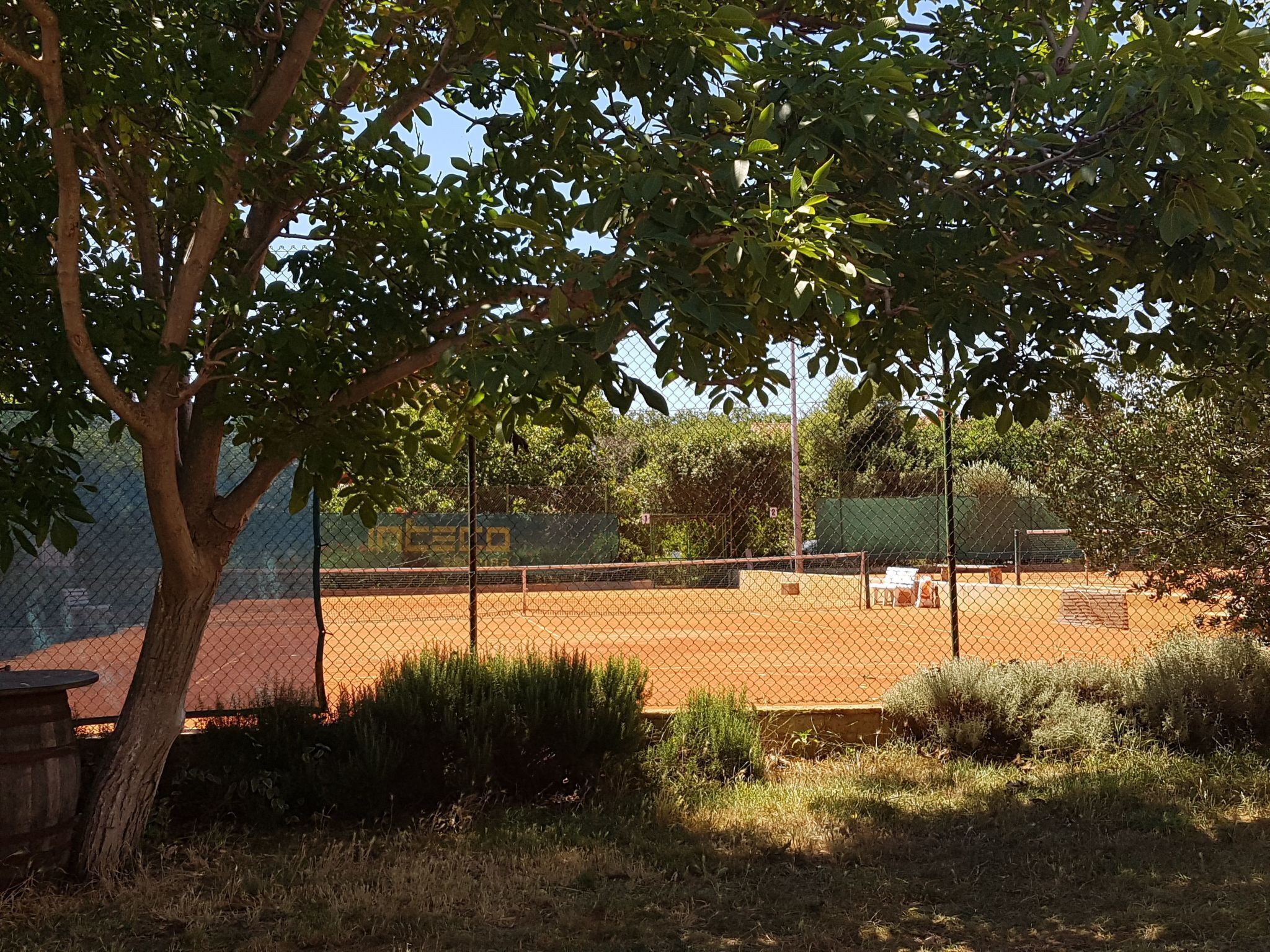 A tennis court surrounded by trees and a chain-link fence.