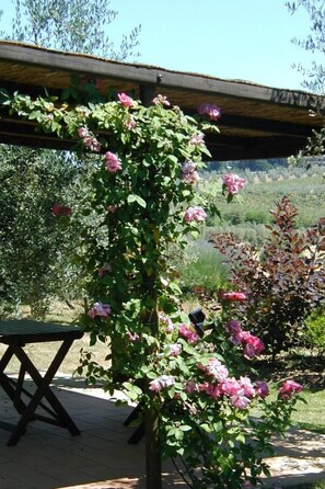 Property grounds - Wohnung mit Garten in Barberino Tavarnelle by Interhome (Barberino Val d'Elsa)