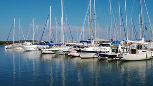 Un puerto deportivo con varios veleros amarrados.