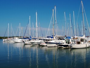 Marina