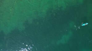 Vista aérea de uma praia com águas cristalinas, pessoas nadando e guarda-sóis de praia.