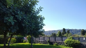 Immagine non classificata, 3 di 26, pulsante