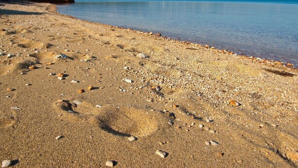 Una spiaggia di ciottoli con una barca nell'acqua e montagne sullo sfondo.
