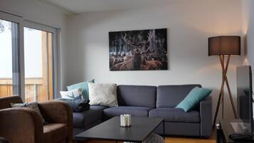 Fernseher, DVD-Player