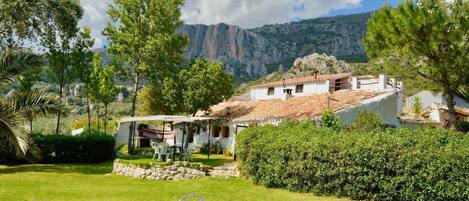 屋外ダイニングエリア