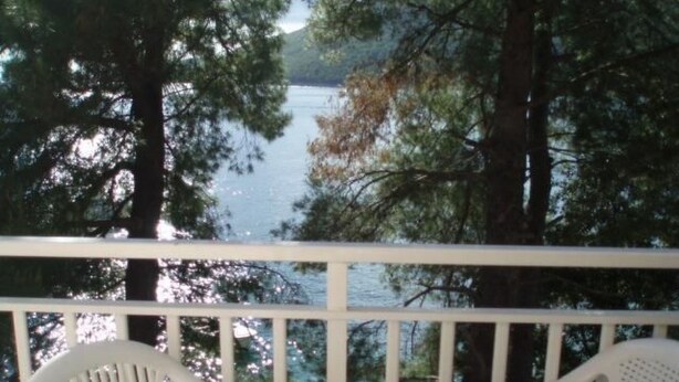 Een balkon met witte relingen dat uitkijkt over een meer, omgeven door bomen.