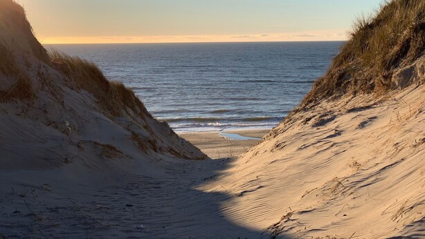 Una playa arenosa con dunas y vista al océano.