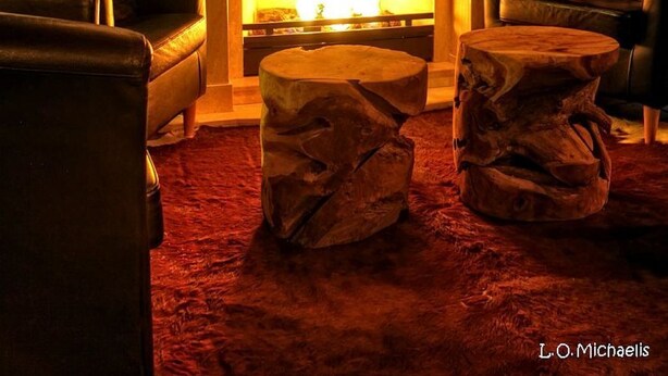 Une pièce chaleureuse avec une cheminée, des canapés en cuir et une tête de cerf accrochée au mur.