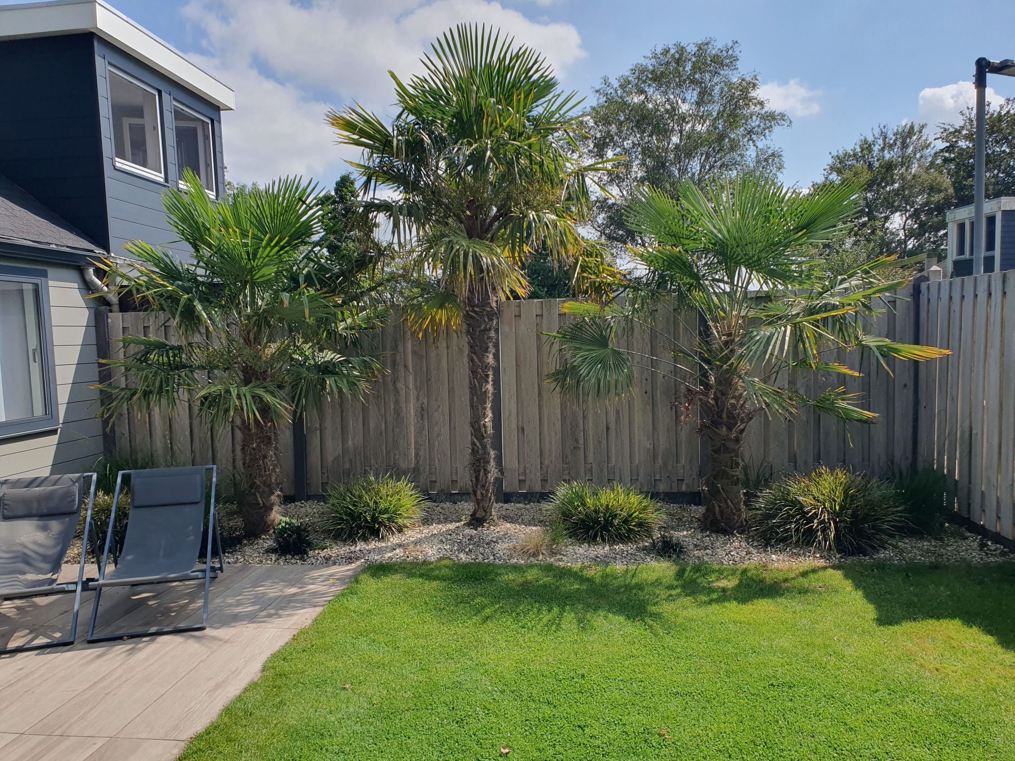 Área da propriedade