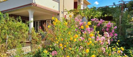 Overnattingsstedets uteområder