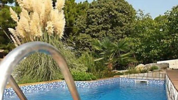 Una piscina con una escalera de metal, rodeada de exuberante follaje y árboles.