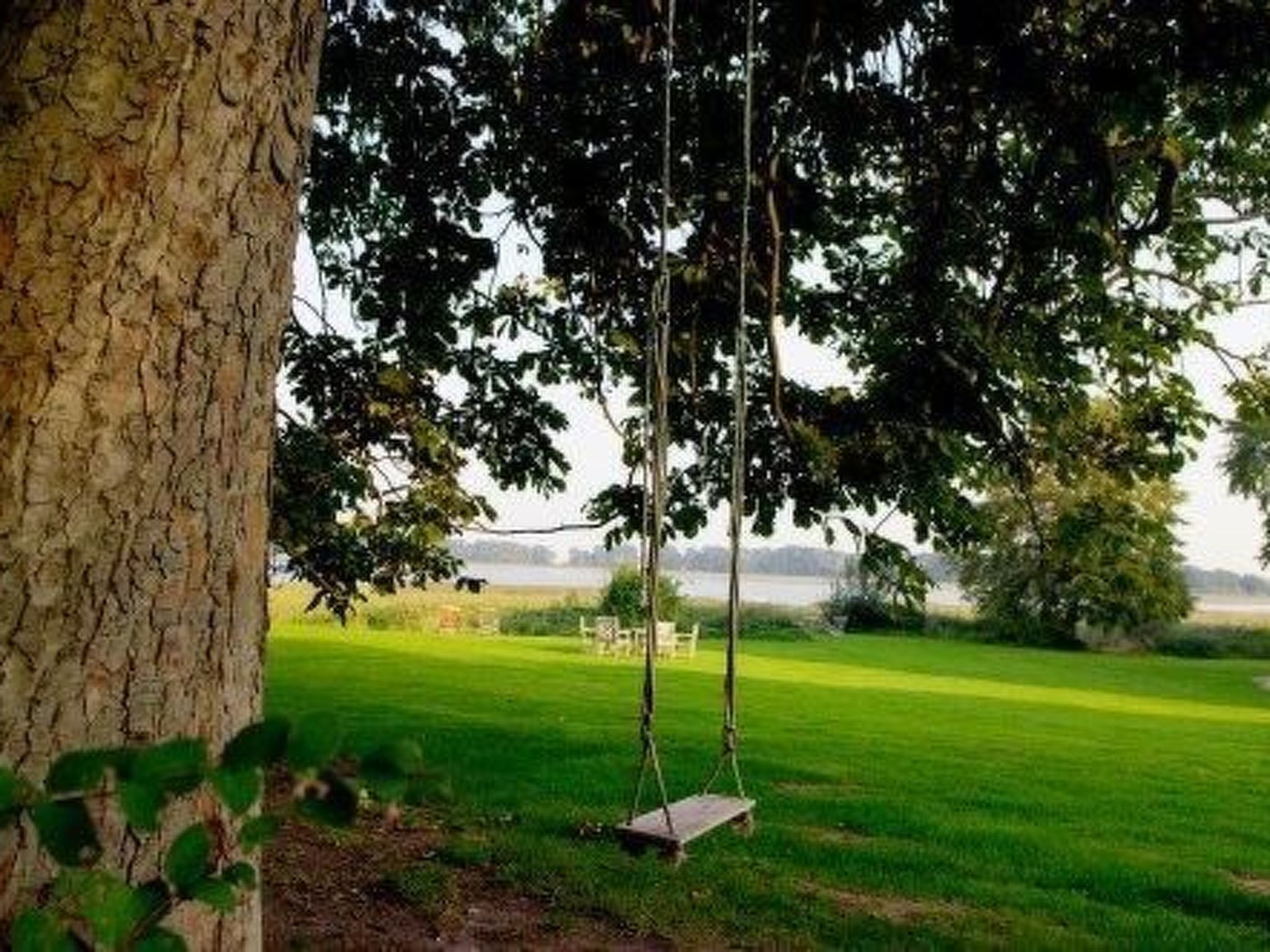 Um baloiço debaixo de uma árvore numa área gramada, com um corpo de água ao fundo.