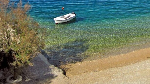 Una barca su acque cristalline vicino a una spiaggia sabbiosa con vegetazione rada.