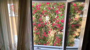 A window with a view of pink flowers outside. - für 3 Personen  + 1 Kind ca. 68 m² in Žaboric, Dalmatien (Gespanschaft Sib by Interhome (Brodarica/Žaborić)