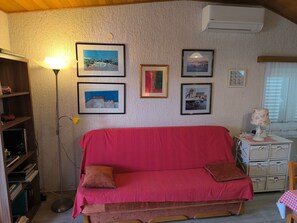 Televisión, chimenea y reproductor de DVD 