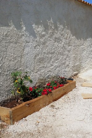 Detalle exterior