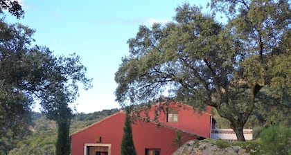 Das Cortijo auf der Finca al-manzil by Interhome