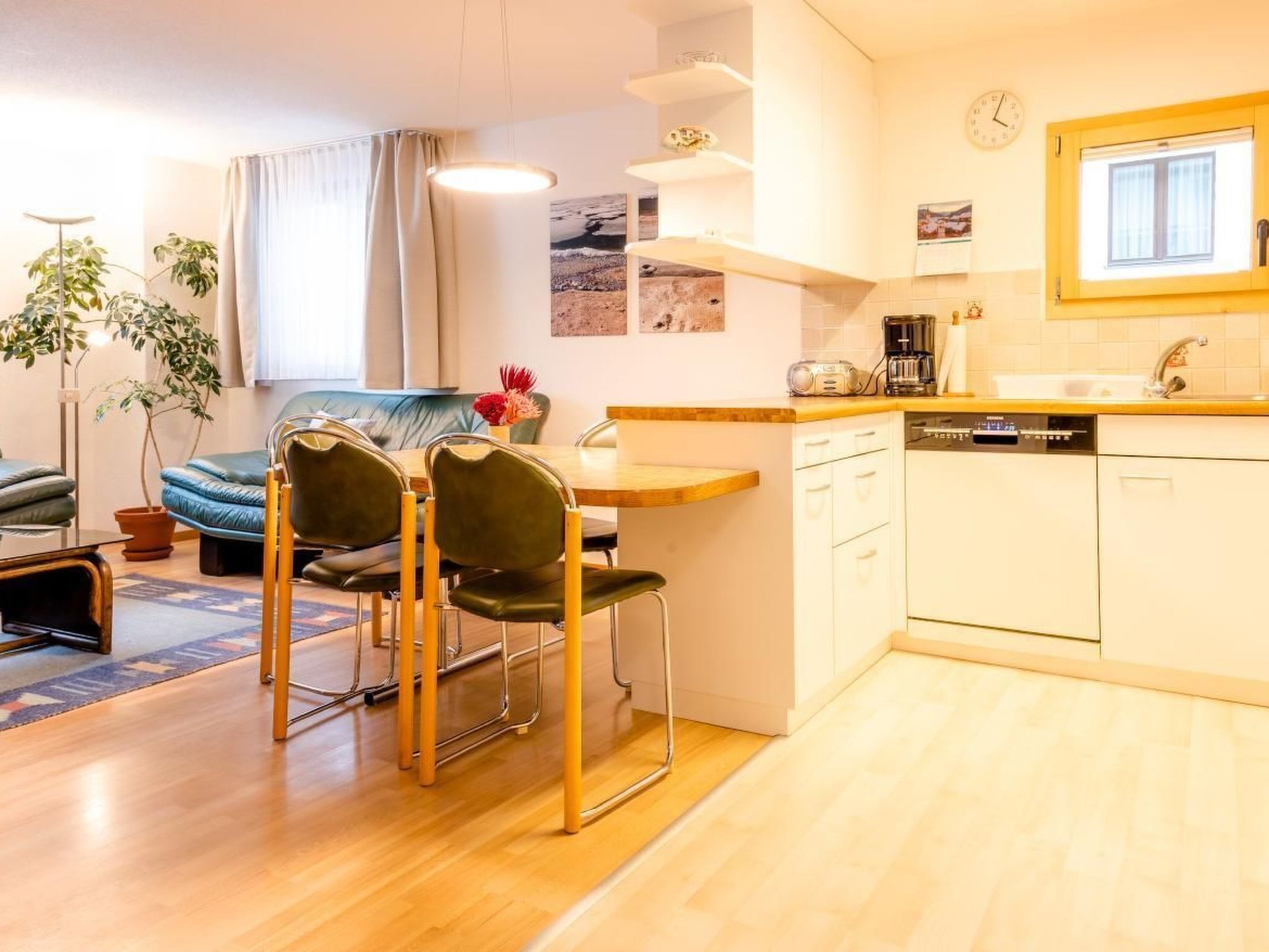 Fridge, oven, dishwasher, cookware/dishes/utensils