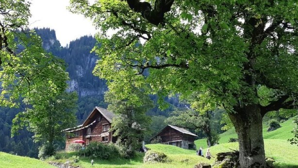 A rustic wooden house surrounded by lush greenery and a large tree. - Rietberg 8 Braunwald by Interhome (Braunwald)