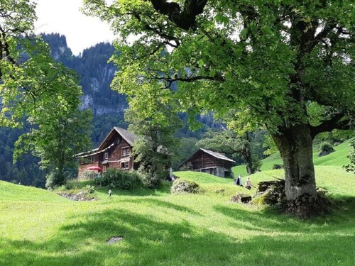 Rietberg 8 Braunwald by Interhome