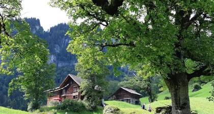 Rietberg 8 Braunwald by Interhome