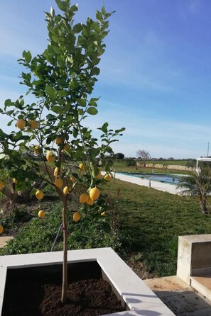 Property grounds - Casa Sbrizza... auf dem Lande, 15 Minuten vom Meer entfernt by Interhome (Rosolini)