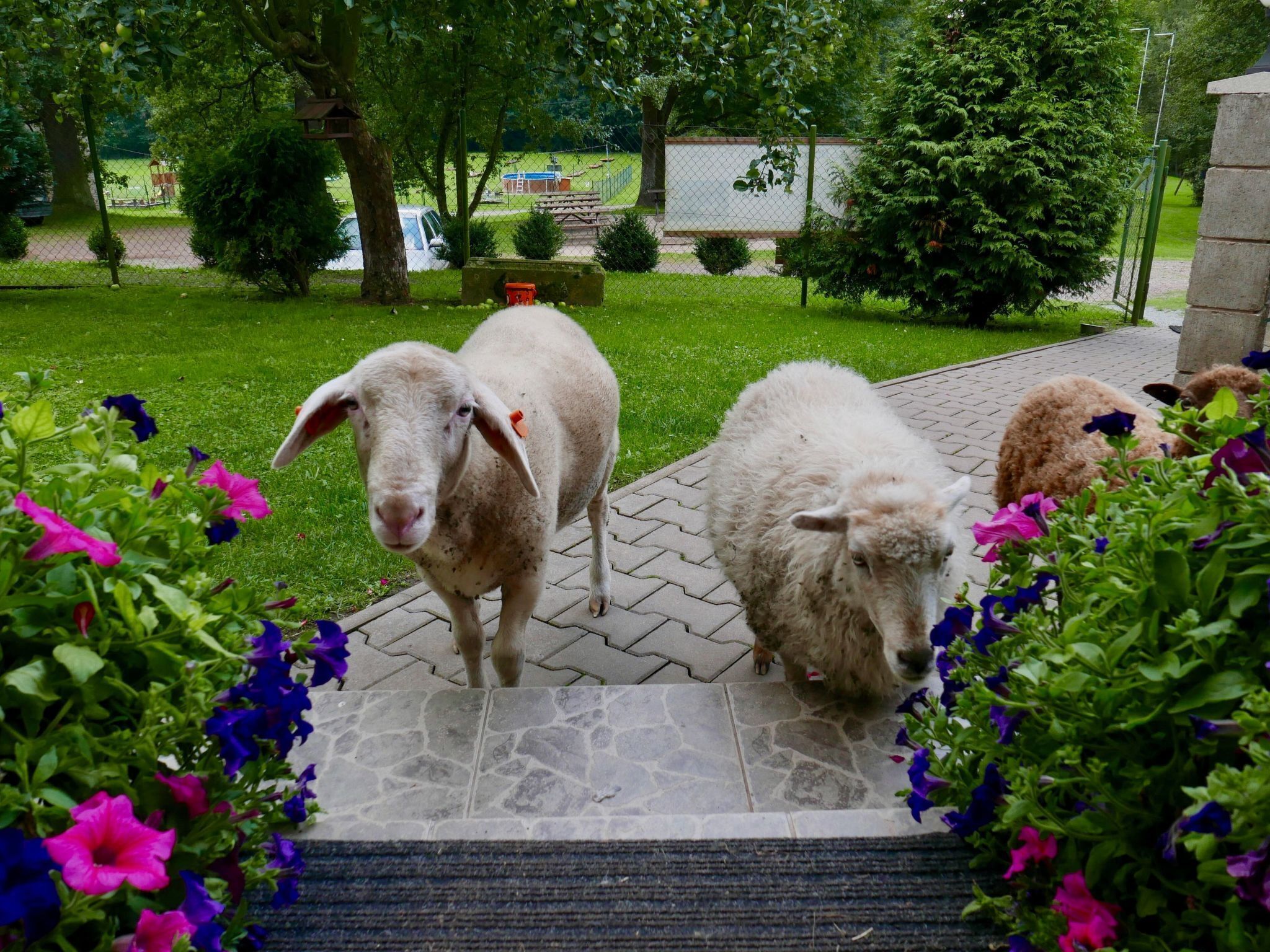 Áreas de la propiedad