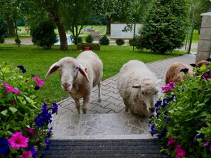 Property grounds - mit Terrasse by Interhome (Stárkov)