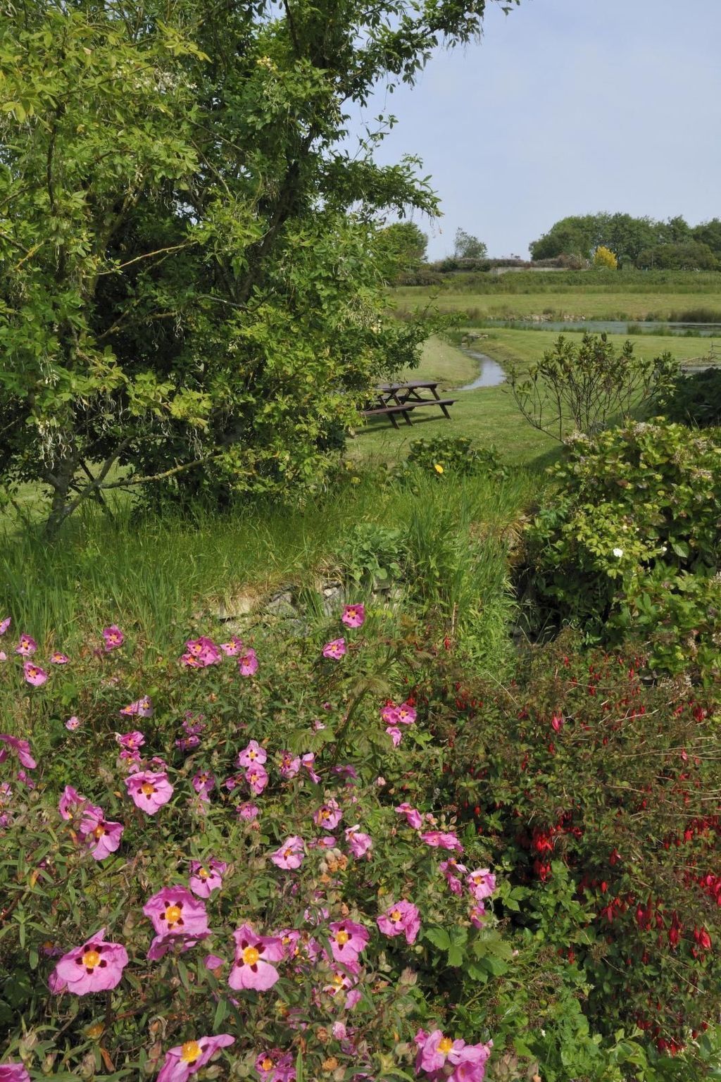Terrain de l’hébergement 