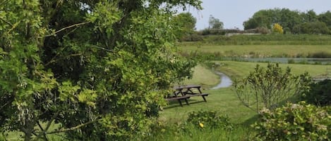 Terrain de l’hébergement