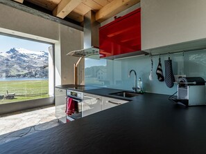 Fridge, oven, dishwasher, cookware/dishes/utensils - CasaBellavista Isola by Interhome (Maloja)