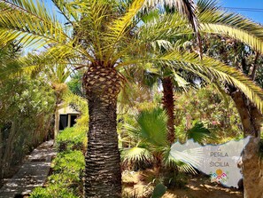 Property grounds - La Perla 22 by Interhome (Marina di Modica)