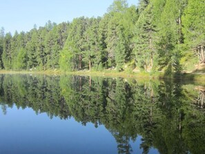 A calm lake surrounded by dense green forest. - La Residenza 1 by Interhome (Samedan)