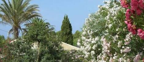 Overnattingsstedets uteområder